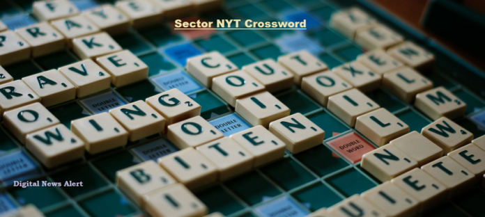 Sector NYT Crossword